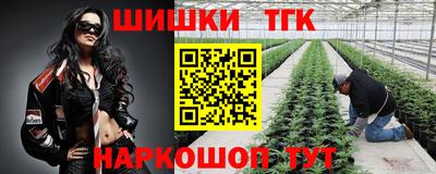 молекула духа Заводоуковск
