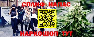 молекула духа Заводоуковск