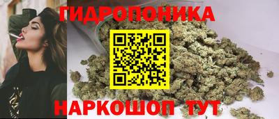 молекула духа Заводоуковск