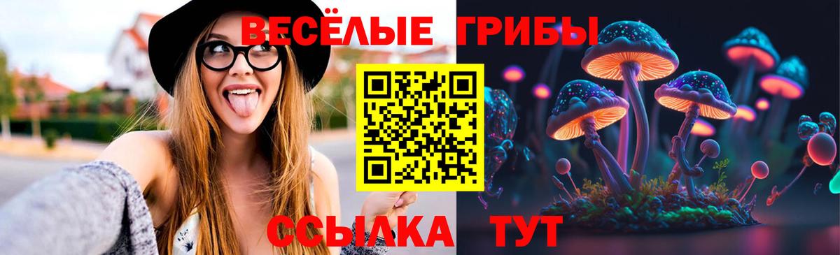 Лосино-Петровский  Псилоцибиновые грибы мухоморы  Галлюциногенные грибы Cubensis  Вход с VPN 